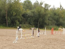 img_9595_web